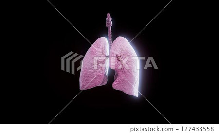 lungs_real_cancer lungs_real_cancer 127433558