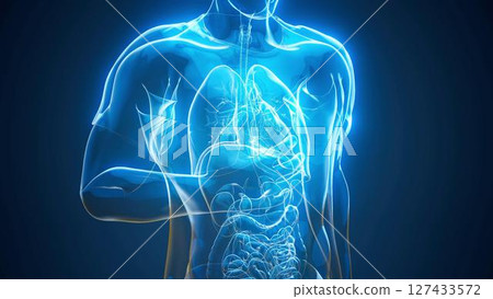 man_blue_anatomy man_blue_anatomy 127433572