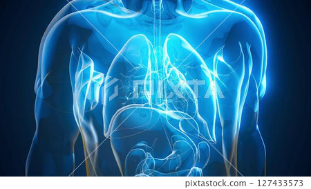 man_blue_anatomy 127433573
