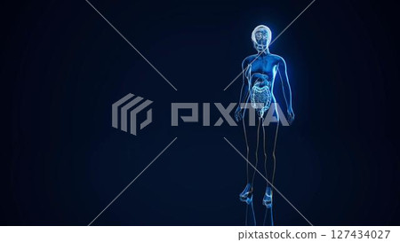 woman_gut_nu_clear_far woman_gut_nu_clear_far 127434027