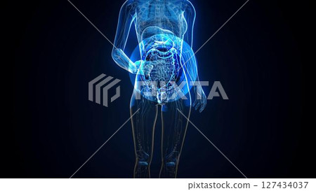 woman_gut_nu_i1 127434037