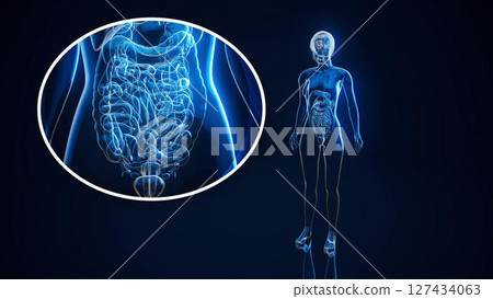 woman_gut_nu_clear_far3 127434063