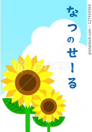 葵花和夏季促銷 127434564