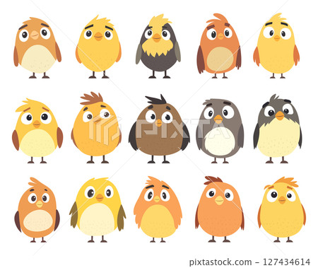 Fifteen charming cartoon birds, diverse plumage, and endearing expressions. 127434614