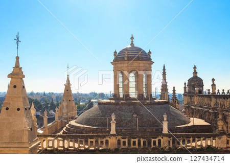 View from the Giralda Tower out over the roof and spires of the Seville cathedral with the city in view in Seville, Spain 127434714