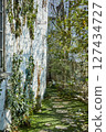 Green path on a sunny day 127434727