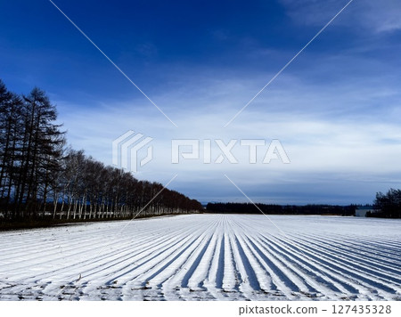 北海道的雪原 北海道的雪原 127435328