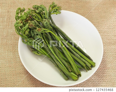 Wild bracken Wild bracken 127435468