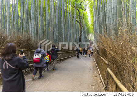 Kyoto, Japan - Jan 1,2023 : People walking in the aisle of Bamboo Forest of the Arashiyama Bamboo Grove in Kyoto, Japan on Jan 1,2023.  127435496