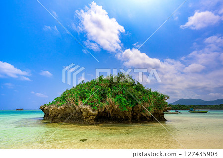 石垣島清澈的海水中漂浮著一塊綠色的小岩層,藍天和翠綠的海水 石垣島清澈的海水中漂浮著一塊綠色的小岩層,藍天和翠綠的海水 127435903