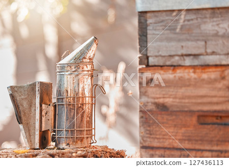 Farm, nature and metal smoker for beekeeping work, protection and harvesting cylinder container. Farming, safety and professional beekeeper tool at wood hive box for harvest and agriculture. 127436113