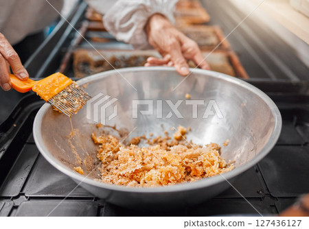 Hands, honeycomb and bowl for organic food processing, preparation or extract at the workplace. Hand of beekeeper working in honey making, extraction or agriculture for food, retail or producing 127436127