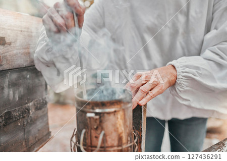 Hands, smoker fire and beekeeper on farm mix and refueling with tool. Safety, beekeeping and worker in suit preparing smoking pot or equipment to calm or relax bees, beehive or bugs for honey harvest 127436291