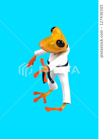 Fun 3D cartoon frog martial artist (with alpha channel) 127436385