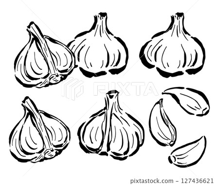 大蒜 - 切成兩半的橫切面、一片等 - 僅單色線圖 127436621