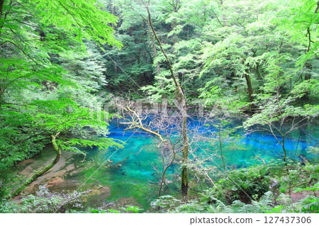 白神山地(吹壺池) 白神山地(吹壺池) 127437306