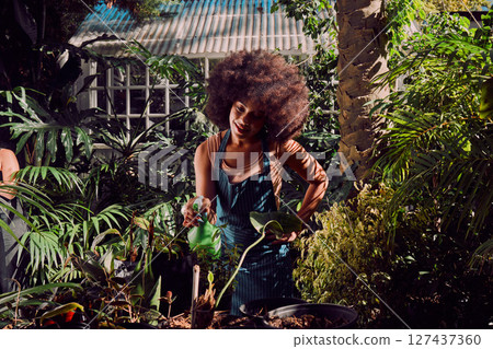 Gardening, woman and spray water in garden or nature, eco friendly nursery and plant. black woman, working and agriculture sustainability of plants and flowers or trees on summer with greenhouse 127437360