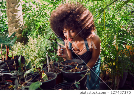 Plant shop, black woman and magnifying glass for greenhouse quality control, ecology and inspection for growth and development in garden or nursery shop. Female with magnifier for eco plants business 127437370