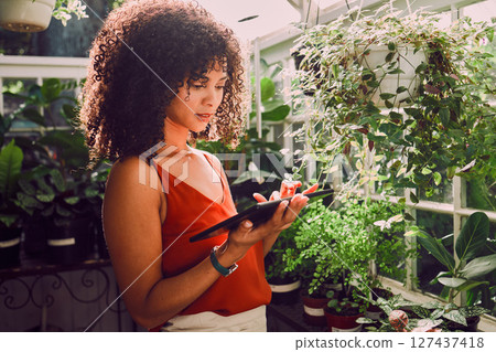 Greenhouse, plants and tablet of black woman for digital application, website management and stock inventory for agriculture industry. Seller, small business owner and online website for growth tips 127437418