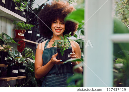 Plants, startup and small business owner or black woman in garden or nursery shop with a smile for ecology, greenhouse or sale. Female with green plant for gardening, retail store and environment 127437429