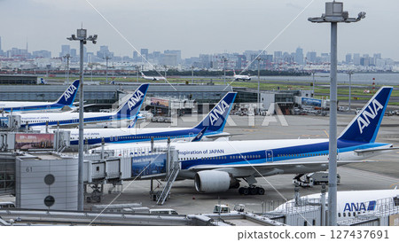 許多全日空飛機停在羽田機場 127437691