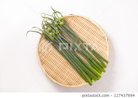 [山形縣]蒜苗 127437694