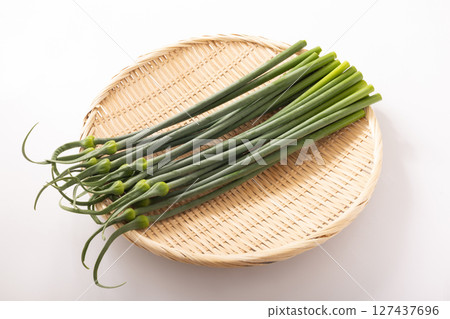 [Yamagata Prefecture] Garlic sprouts 127437696
