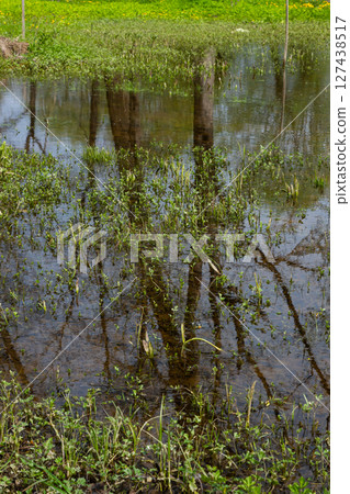 Reflection of trees in still water amidst green vegetation in Ternopil oblast Ukraina at midday 127438517
