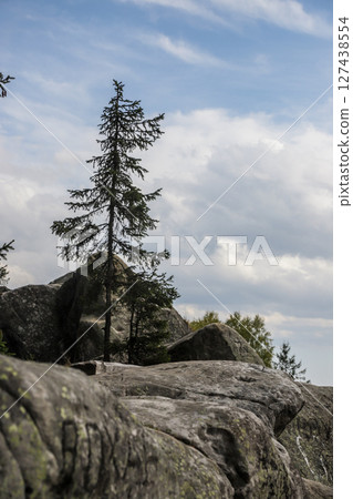 Tall evergreen tree stands on rocky outcrop under a cloudy sky in a tranquil natural setting during daylight hours Tall evergreen tree stands on rocky outcrop under a cloudy sky in a tranquil natural setting during daylight hours 127438554