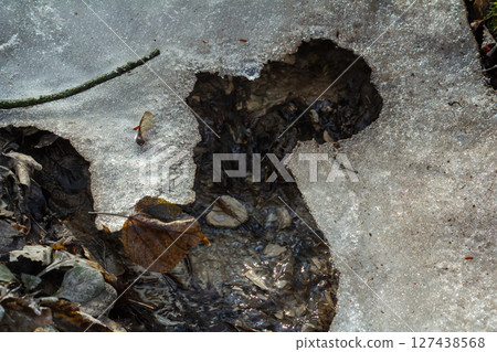 Melting snow reveals dark earthy tones and fallen leaves in a wooded area during early springtime 127438568