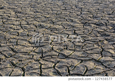 Dried cracked earth in a barren landscape showcasing the impact of drought conditions on soil quality and environment Dried cracked earth in a barren landscape showcasing the impact of drought conditions on soil quality and environment 127438577