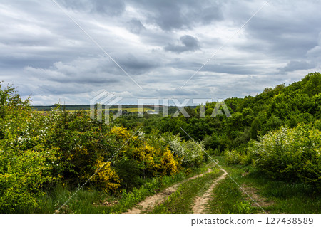 Peaceful winding path through lush green landscape under cloudy sky in late spring near rural area Peaceful winding path through lush green landscape under cloudy sky in late spring near rural area 127438589