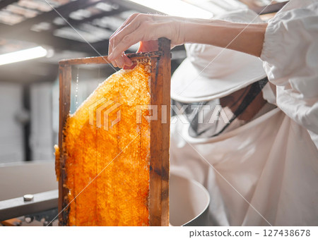 Honey, frame and beekeeper with woman in factory for production, natural or organic. Honeycomb, industry and extraction with worker for manufacturing, sustainability or harvesting process on bee farm 127438678