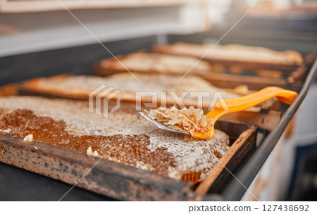 Honey, closeup and frame with scrape tools for beekeeping, agriculture or food in factory production. Harvest, bees honeycomb or apiculture workshop with uncapping fork, natural product farming Honey, closeup and frame with scrape tools for beekeeping, agriculture or food in factory production. Harvest, bees honeycomb or apiculture workshop with uncapping fork, natural product farming 127438692