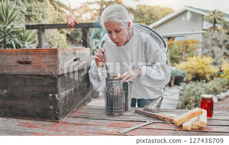 Smoking pot, farm and woman in honey production in a steel container on a sustainable bee field. Fire, farming and senior eco friendly beekeeper farmer manufacturing honeycomb outdoor in nature. Smoking pot, farm and woman in honey production in a steel container on a sustainable bee field. Fire, farming and senior eco friendly beekeeper farmer manufacturing honeycomb outdoor in nature. 127438709