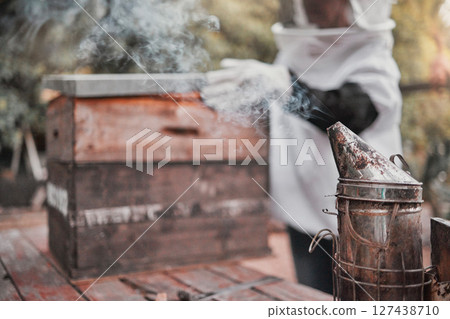 Smoker, honey and beekeeping with a woman farmer working outdoor by a beehive in the countryside. Agriculture, sustainability and farm with a female beekeeper at work in the production industry 127438710