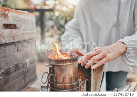 Beekeeper, bee bellows and fire to smoke in closeup at apiary in farming, agriculture and industry. Beekeeping, woman working and hands zoom with flame for bees, safety and farm for honey production 127438719