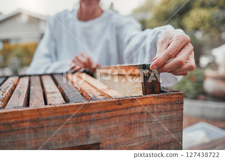 Beekeeper, working and production of honey in a box at a farm, backyard or nature. Agriculture, sustainable and hands of an organic farmer with honeycomb for small business and food in summer Beekeeper, working and production of honey in a box at a farm, backyard or nature. Agriculture, sustainable and hands of an organic farmer with honeycomb for small business and food in summer 127438722