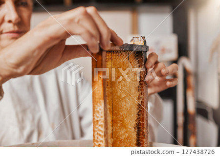 Honeycomb, beekeeping and hands of woman on sustainable farm for honey, beeswax and food in agriculture industry. Bee farmer in workshop for harvesting frame, production and manufacturing process 127438726