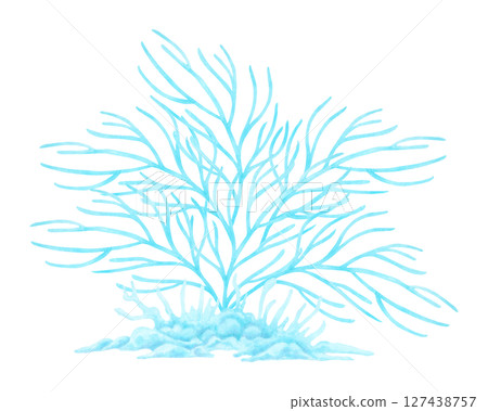 Branched blue coral. Watercolor and marker illustrations. Underwater animals of the seabed. Hand drawn isolated art. Ocean coral reef. Exotic plants for guidebooks, childrens design, tourism design Branched blue coral. Watercolor and marker illustrations. Underwater animals of the seabed. Hand drawn isolated art. Ocean coral reef. Exotic plants for guidebooks, childrens design, tourism design 127438757