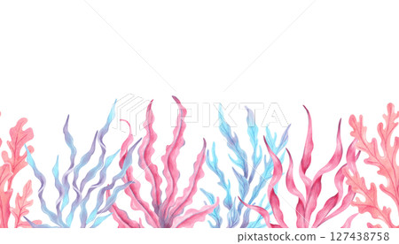 Multicolored seaweed. Seamless border composition. Watercolor botanical illustration. Hand drawn isolated art. Natural form of marine flora. Banner for travel, childrens design , underwater theme Multicolored seaweed. Seamless border composition. Watercolor botanical illustration. Hand drawn isolated art. Natural form of marine flora. Banner for travel, childrens design , underwater theme 127438758