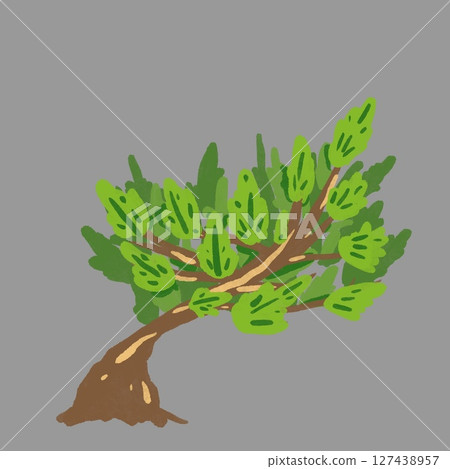Green Tree forest plant art work isolated on background. designs Green Tree forest plant art work isolated on background. designs 127438957