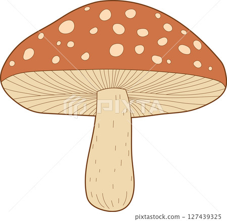 Whimsical mushroom with a speckled cap and sturdy stem, ready for a fairytale Whimsical mushroom with a speckled cap and sturdy stem, ready for a fairytale 127439325