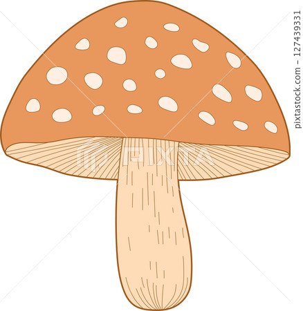 A cartoon illustration of a mushroom with spots on a dark background. 127439331