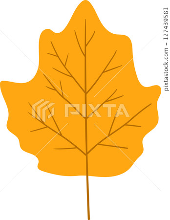 A vibrant golden leaf with intricate veins, isolated against a dark background. 127439581