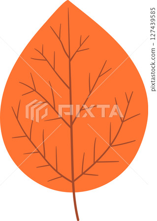 Autumn Leaf: A minimalist graphic illustration of an orange-colored leaf. 127439585