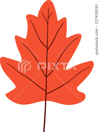 Vibrant orange oak leaf with detailed veins on a black background. 127439593