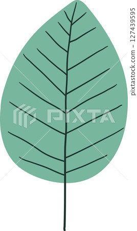 Stylized illustration of a leaf with veins on a black background. 127439595