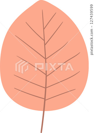 Minimalist illustration of a peach-colored leaf with prominent venation. 127439599
