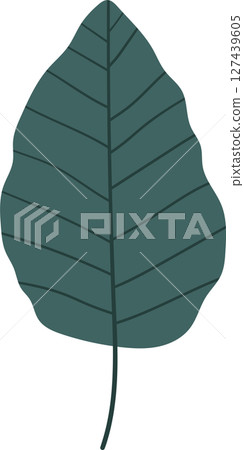 Isolated stylized leaf with detailed venation, perfect for botanical designs. Isolated stylized leaf with detailed venation, perfect for botanical designs. 127439605